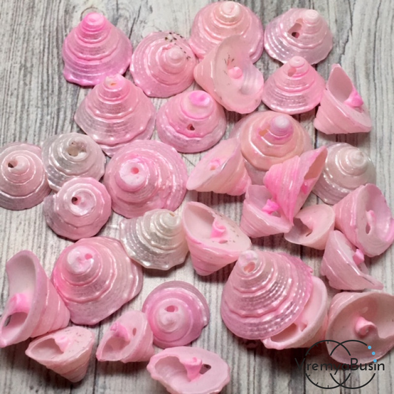 Ракушки натуральные, с отверстием, 11-19 мм (1 шт.)