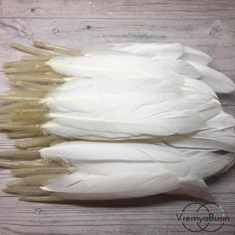 Перо гуся, длина 10-13 см, цвет белый (1 шт.)