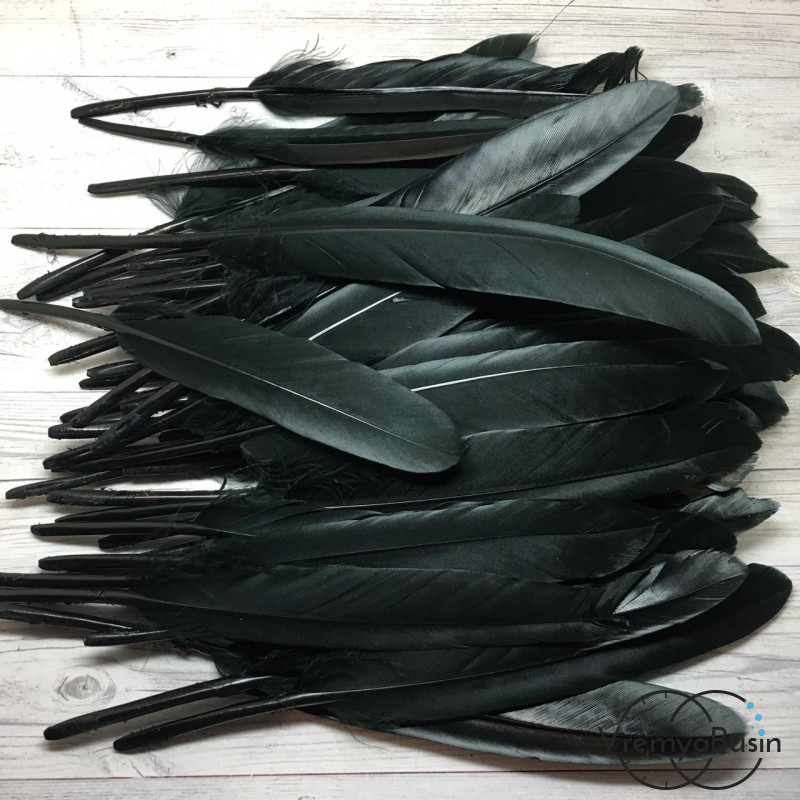 Перо гуся, длина 10-13 см, цвет черный (1 шт.)