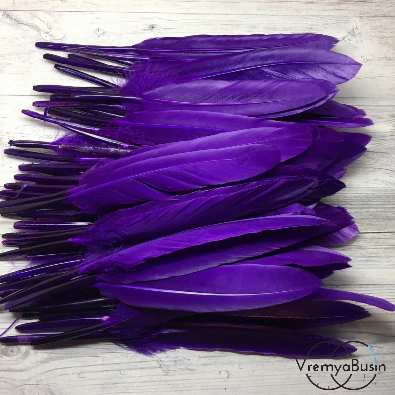 Перо гуся, длина 10-13 см, цвет фиолетовый (1 шт.)