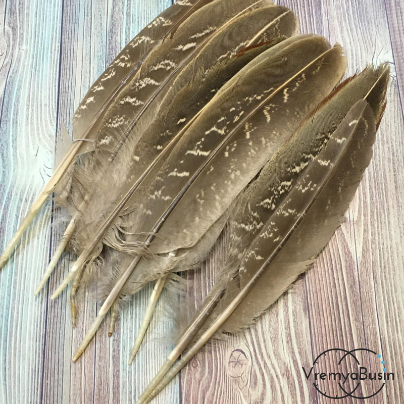 Перо фазана натуральное, 10-15 см. (1 шт.)