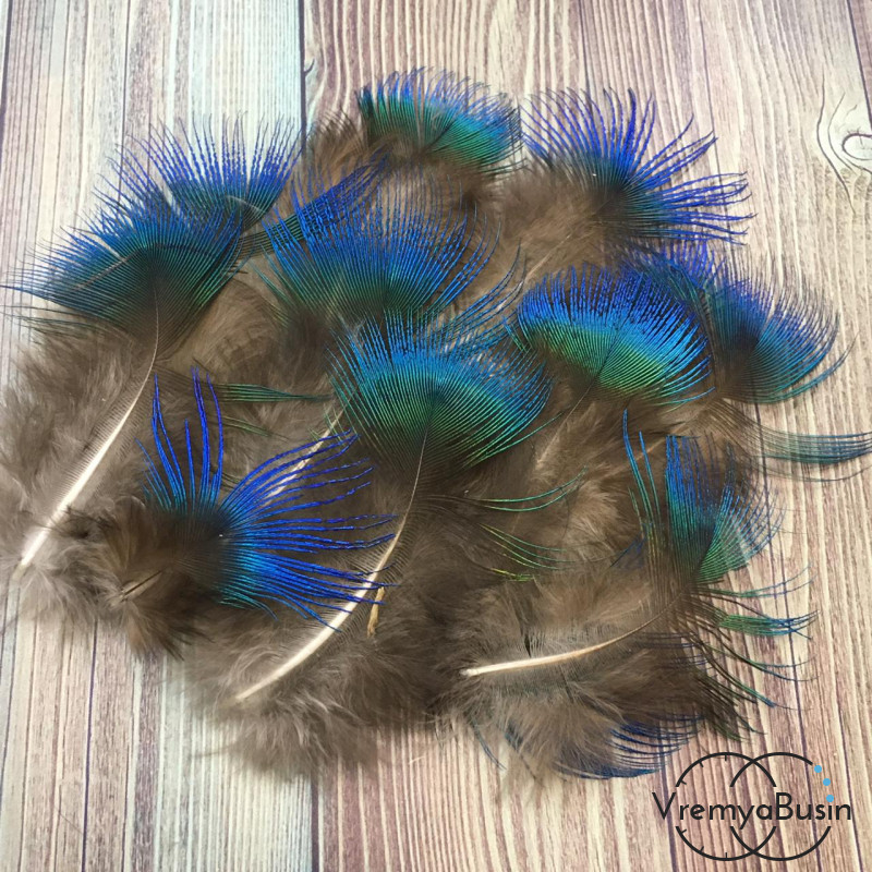 Перо павлина натуральное, 4-6 см. (1 шт.)