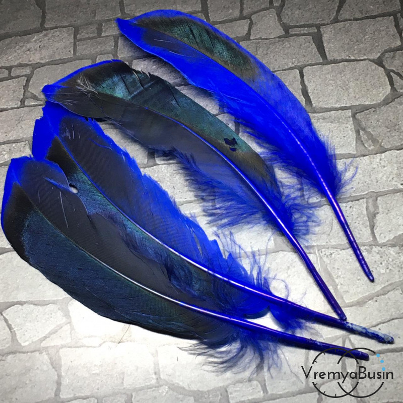 Перо утки, 12-20 см, цв. синий (1 шт.)