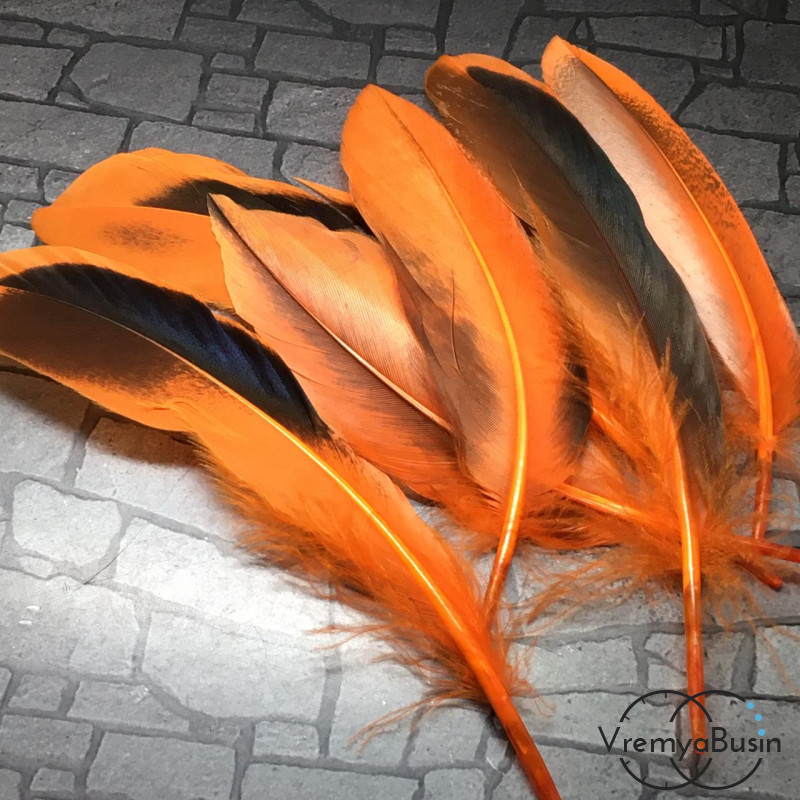 Перо утки, 12-20 см, цв. оранжевый (1 шт.)
