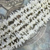 Коралл натуральный игольчатый, цв. белый (нить, ок. 40 см.)